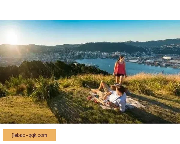 惠灵顿奥林匹克惜败内皮尔市流浪0比3止步赛事晋级希望